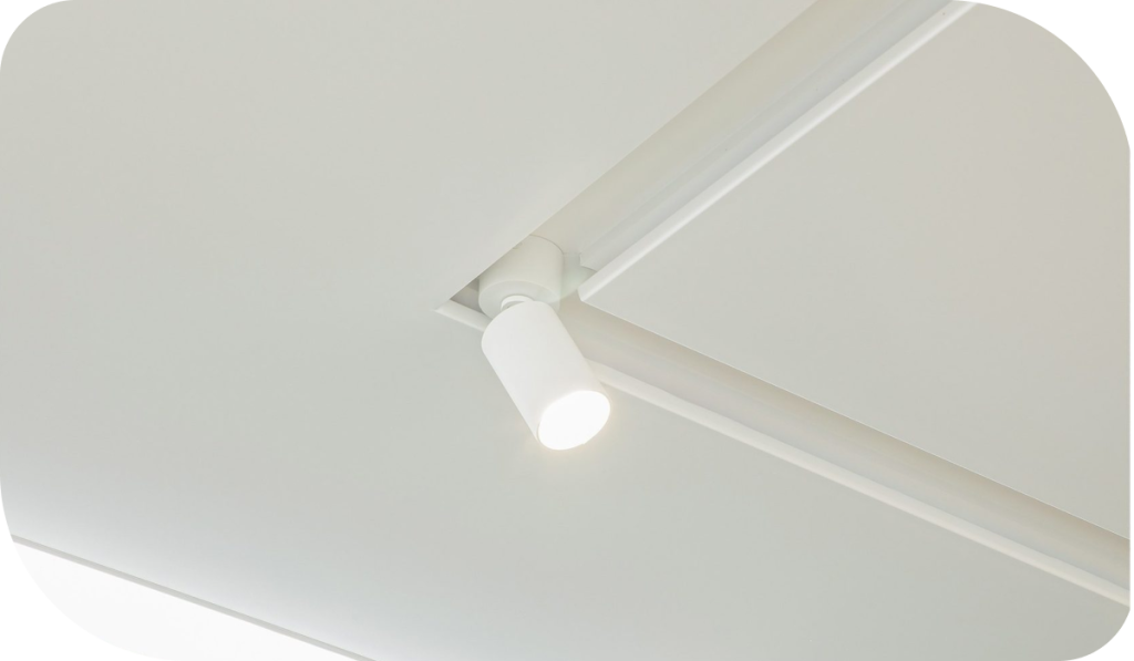 nisha2.png nisha2.png